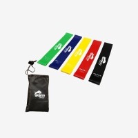 RESISTANCE BANDS SET OF 5 (SPINTO-7)